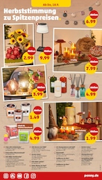 Schnittblumen Angebot im aktuellen Penny Prospekt auf Seite 25