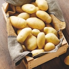 Promo Pomme de terre de consommation Intermarché Terroirs à 1,49 € dans le catalogue Intermarché Super à Leimbach