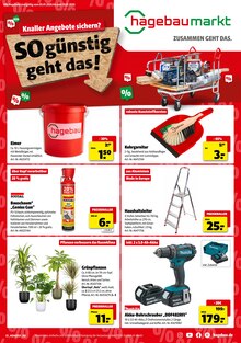 Zimmerpflanzen im aktuellen Hagebaumarkt Prospekt (Hamburg) Zimmerpflanzen im Hagebaumarkt Prospekt "So günstig geht das!" mit 10 Seiten (Hamburg)