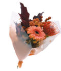 Herbststrauß für 4,49 € bei Netto mit dem Scottie im Angebot Herbststrauß im aktuellen Netto mit dem Scottie Prospekt