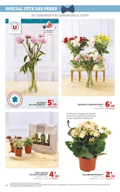 Fleurs Angebote im Prospekt "U Express" von U Express Fleurs Angebote im Prospekt "U Express" von U Express auf Seite 30