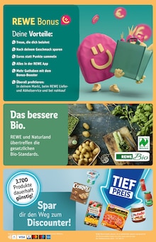 Aktueller REWE Prospekt