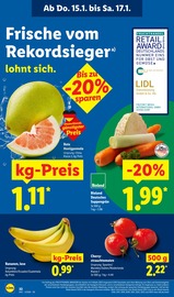 Aktueller Lidl Prospekt mit Bio, "LIDL LOHNT SICH", Seite 58