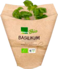 Topfkräuter Angebote von EDEKA Bio bei EDEKA Kiel für 1,69 €