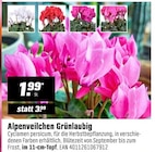 OBI Biedenkopf Prospekt mit  im Angebot für 1,99 €