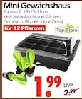 Mini-Gewächshaus Angebote von Top Flora bei Wreesmann Dessau-Roßlau für 1,99 €
