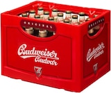 Aktuelle Bier Angebote bei REWE in Braunschweig Aktuelles Premium Czech Lager Angebot bei REWE in Braunschweig ab 14,99 €