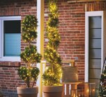 Mini-Lichterkette bei toom Baumarkt im Norden Prospekt für 6,99 €