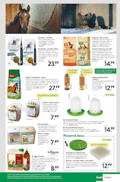 Aktueller BayWa Bau- und Gartenmärkte Prospekt mit Vogelkäfig, "Prickelnder Jahreswechsel", Seite 9