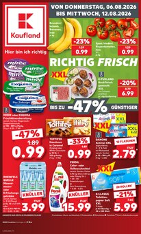 Tomaten im Kaufland Prospekt "Hier bin ich richtig" mit 65 Seiten (Münster)