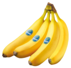 REWE Bergheim - BANANEN Angebot im Prospekt BANANEN bei REWE im Bergheim Prospekt für 1,99 €