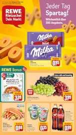 REWE Augsburg Prospekt der aktuellen Woche, gültig von 17.08.2026 bis 22.08.2026 Aktueller REWE Augsburg Prospekt "Dein Markt" mit 22 Seiten