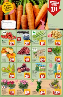 Pflanzen im REWE Prospekt "Dein Markt" mit 35 Seiten (Braunschweig)