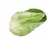 Spitzkohl Angebote von Hof Hauschildt bei EDEKA Stade für 0,99 €