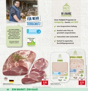 Schweinefleisch im Marktkauf Prospekt in Ulm Aktueller Marktkauf Prospekt mit Schweinefleisch, "Aktuelle Angebote", Seite 9