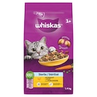 Promo Croquettes pour chat 1+ à 4,49 € dans le catalogue Carrefour à Vernon