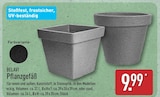 Pflanzgefäß im Angebot bei ALDI Nord in Hameln Pflanzgefäß Angebote von BELAVI bei ALDI Nord Hameln für 9,99 €