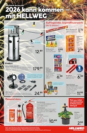 Weihnachten Angebot im aktuellen Hellweg Prospekt auf Seite 21