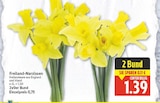 Freiland-Narzissen im aktuellen E center Prospekt