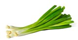 Angebot im Penny Steinenbronn Prospekt Penny Steinenbronn Prospekt mit im Angebot für 0,49 €
