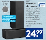 Pflanzsäule oder -kasten von BELAVI im aktuellen ALDI SÜD Prospekt für 24,99 €