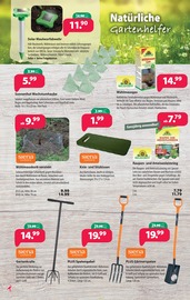 Aktueller Kiebitzmarkt Prospekt mit Sitzkissen, "Es geht wieder los. Die Anzucht beginnt!", Seite 4