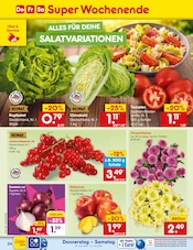Chrysantheme im Netto Marken-Discount Prospekt in Moers Aktueller Netto Marken-Discount Prospekt mit Chrysantheme, "Aktuelle Angebote", Seite 46