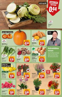 Pflanzen im aktuellen REWE Prospekt (Mönchengladbach) Pflanzen im REWE Prospekt "Dein Markt" mit 34 Seiten (Mönchengladbach)
