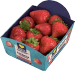 Erdbeeren im Angebot bei Marktkauf in Cuxhaven Erdbeeren Angebote von Herzstücke bei Marktkauf Cuxhaven für 2,99 €