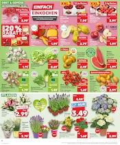 Badmöbel im Kaufland Prospekt in Schwerin Aktueller Kaufland Prospekt mit Badmöbel, "Aktuelle Angebote", Seite 10