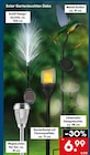 Schilf Designleuchte Angebote bei Netto Marken-Discount Wermelskirchen für 6,99 €
