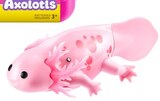 Roboter-Wasserspielzeug AXOLOTL im Angebot bei Penny in Potsdam Roboter-Wasserspielzeug AXOLOTL Angebote von Pets Alive bei Penny Potsdam für 7,99 €