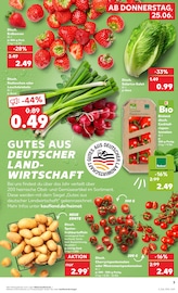 Aktueller Kaufland Prospekt mit Kartoffeln, "Hier bin ich richtig", Seite 3