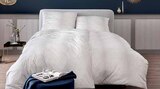 Aktuelles Mako-Interlock-Jersey Bettwäsche Angebot bei Zurbrüggen in Bielefeld ab 69,99 €