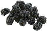 Brombeeren im Angebot bei REWE in Peine Brombeeren Angebote von REWE Beste Wahl bei REWE Peine für 1,99 €