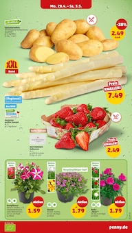 Erdbeeren im Penny Prospekt "Wer günstig will, muss Penny." mit 41 Seiten (Herne)