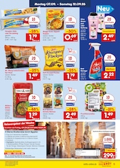 Shampoo im Netto Marken-Discount Prospekt in Monheim Aktueller Netto Marken-Discount Prospekt mit Shampoo, "Aktuelle Angebote", Seite 9