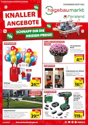 Aktueller Hagebaumarkt Baumärkte Prospekt in Rondeshagen und Umgebung, "KNALLERANGEBOTE" mit 8 Seiten, 02.08.2025 - 09.08.2025