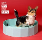 KiK Saalfelder Höhe - Hunde-Pool Angebot im Prospekt Hunde-Pool bei KiK im Saalfelder Höhe Prospekt für 9,99 €