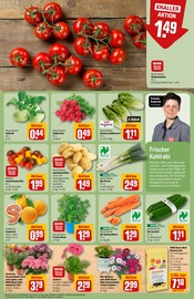 Tierfutter im REWE Prospekt in Wetzlar Aktueller REWE Prospekt mit Tierfutter, "Dein Markt", Seite 7