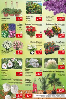 Blumenkasten Angebot im aktuellen Zimmermann Prospekt auf Seite 3
