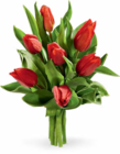 Aktuelle Tulpen Angebote bei Netto Marken-Discount in Bremerhaven Aktuelles Herbsttulpen Angebot bei Netto Marken-Discount in Bremerhaven ab 2,99 €