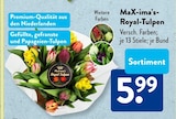 Aktuelle Tulpen Angebote bei ALDI SÜD in Mannheim Aktuelles Royal-Tulpen Angebot bei ALDI SÜD in Mannheim ab 5,99 €