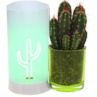 Carrefour Rillieux-la-Pape - Promo Cactus déco LED Promo Cactus déco LED à 14,99 € dans le catalogue Carrefour à Rillieux-la-Pape