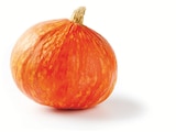 Courge Potimarron à Colruyt dans Rosselange