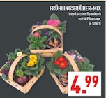Frühlingsblüher-Mix Angebote bei Marktkauf Bottrop für 4,99 €