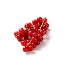Lidl - Deutsche Johannisbeeren Angebot im Prospekt Deutsche Johannisbeeren bei Lidl im Prospekt "" für 2,49 €