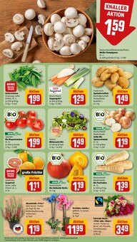 Pflanzen im REWE Prospekt "Dein Markt" mit 22 Seiten (Siegen (Universitätsstadt))