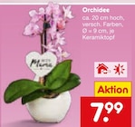 Orchidee Angebote bei Netto Marken-Discount Recklinghausen für 7,99 €