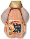 Promo Poule au sol à 4,20 € dans le catalogue U Express à Guyancourt